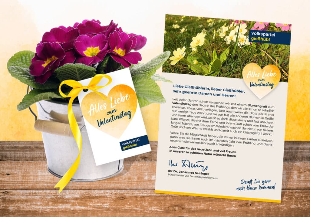 Slider_BGM_Seiringer-06